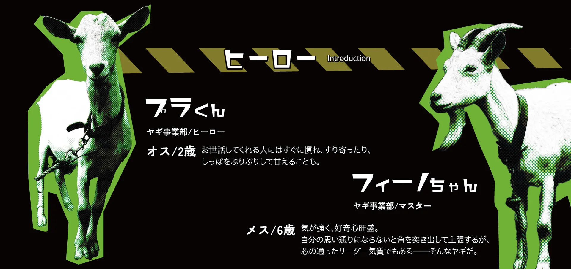 ヒーロー紹介