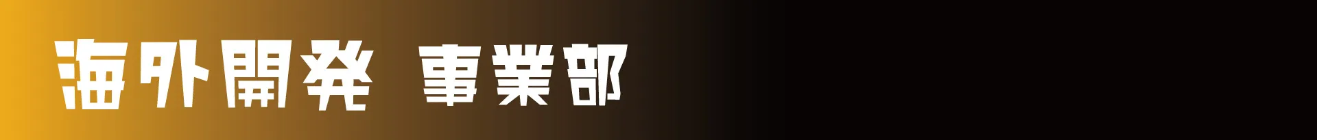 海外開発