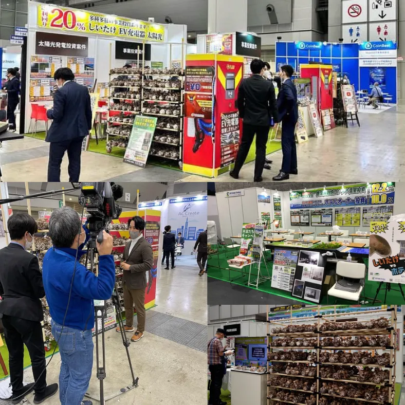 ファンドコンサルティング事業部
